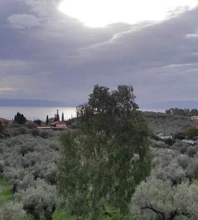 Gorgeous 3 Bedrooms In Pilio Apartment